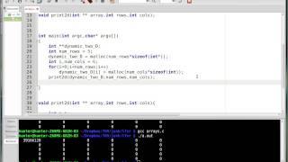 Dynamic Two Dimensional Arrays C Tutorial 13 [upl. by Terryn713]