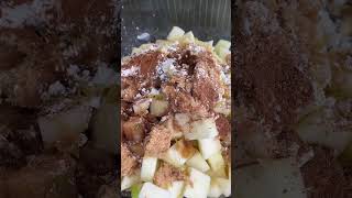 Southern Apple Cobbler Recipe [upl. by Terrijo759]