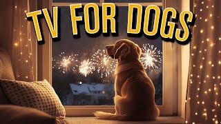 Firework Anti Anxiety Fun TV With Music to Help Your Dog on Bonfire Night NO ADS [upl. by Ycal73]