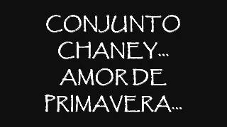 AMOR DE PRIMAVERA Conjunto Chaney [upl. by Ynaffi]