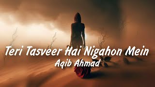 Teri Tasveer Hai Nigahon Mein Full Song  Aqib Ahmad  Khwaab  Instagram Trending Song 2024 [upl. by Weslee]