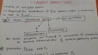 Arabinose Operon Part 1 Dr Preeti Dharmik [upl. by Soigroeg]