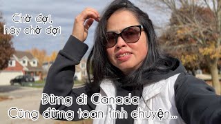 Chưa Từng Thấy OntarioCanada Truy Quét Mạnh Đến Vậy😳 [upl. by Aitercul518]