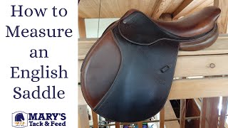 How to Measure an English Saddle [upl. by Naarah723]