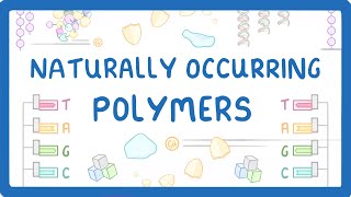 GCSE Chemistry  Naturally Occurring Polymers  Polypeptides DNA and Carbohydrates 61 [upl. by Herbst890]