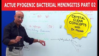 Acute Pyogenic Bacterial Meningitis Part 2 🩺 [upl. by Derrik725]