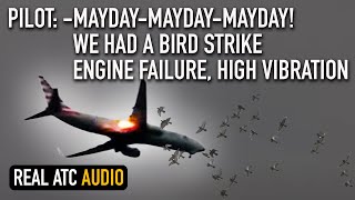 MAYDAY Engine FLAMEOUT High Vibrations after Bird Strike American Boeing 737 REAL ATC [upl. by Gladdie591]