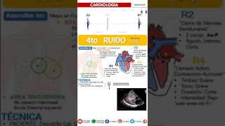 FISIO1AUSCULTACIÓN PULMONARSONIDOS RESPIRATORIOS [upl. by Sabella]