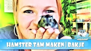 🐹 Hamster tam maken voor beginners  De Bakjes methode [upl. by Fernald]