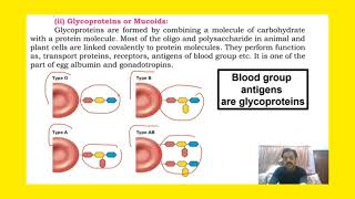 Chapter 1  Biological molecules  part 28  Conjugated molecules sindhtextboard [upl. by Moskow]