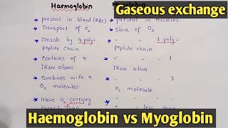 Role of respiratory pigments  Haemoglobin  Myoglobin  Class 11 Biology [upl. by Schreib588]