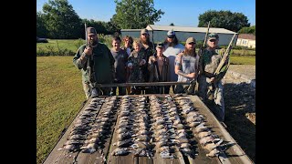 Dove Hunting in SW Missouri 9223 First dove hunt of the season [upl. by Euhc736]