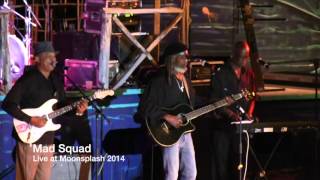 Mad Squad live at Moonsplash 2014 [upl. by Esinrahc270]