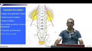 Anatomie topographique et chirurgicale des Reins [upl. by Aspia]