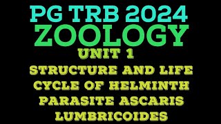 ASCARIS LUMBRICOIDES  ROUND WORM  HELMINTH PARASITE  ASCARIASIS  PG TRB 2024 ZOOLOGY [upl. by Nyliram]