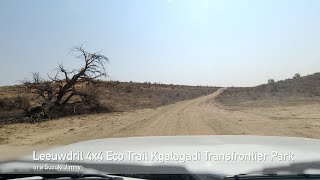 Kgalagadi Leeuwdril 4x4 Eco Trail South Africa [upl. by Airan]