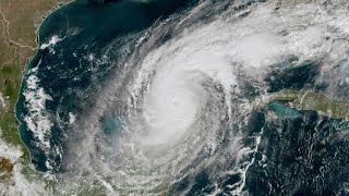 Here amp Now Wed Oct 9 2024  Newfoundlanders in Florida prepare for Hurricane Milton [upl. by Nagaem]