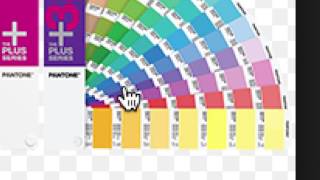 Utilisation des couleurs Pantones dans Illustrator [upl. by Naam6]