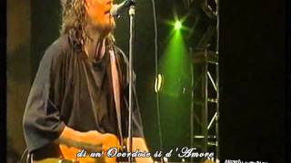 Zucchero  Overdose damore Live 1995 [upl. by Arihas308]