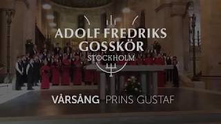 Prins Gustafs Vårsång  Adolf Fredriks Gosskör [upl. by Mitzi266]