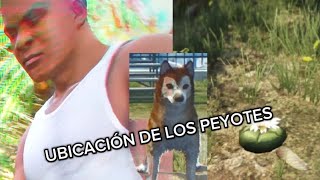 UBICACIÓN DE LOS PEYOTES EN GTA 5 part2 [upl. by Mannes]