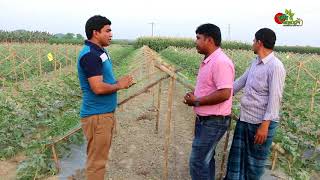 ১ লক্ষ টাকা কৃষি বিনিয়োগে বছর শেষে ৫ লক্ষ টাকা আয়ঃ শস্য বিন্যাসবেবি তরমুজ২ঃ লাউঃআলু [upl. by Damian]