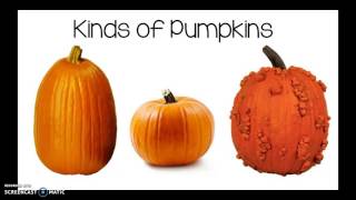 All About Pumpkins [upl. by Beare]