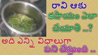 raavi aaku kashayam preparation  raavi aaku uses benefits and side effects  state tv [upl. by Johnston861]