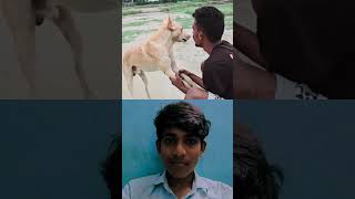 Watch till end kandipa twist🤣 irukufunnycomedy viralvideo comedy trending sorts subscribe [upl. by Dulcy]