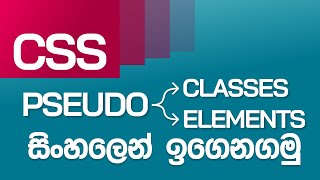 CSS Pseudo Class and Pseudo Element Selectors in Sinhala [upl. by Eivets]