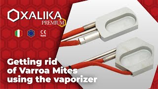 Getting rid of Varroa Mites using the vaporizer OXALIKA PREMIUM [upl. by Wise]