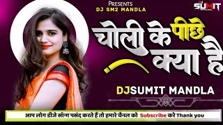 Choli Ke Peeche Kya Hai Tabla Remix Bass Dj Remix Song 2024 Djsumit Mandla Hindi Dj Remix Song2024 [upl. by Anas]