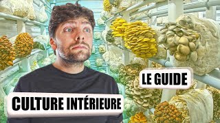 🍄 CULTURE des CHAMPIGNONS en INTÉRIEUR Le guide [upl. by Kipper177]