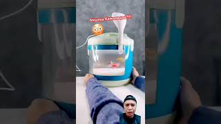 RIce Cooker atau Aquatium funny aqurium trending shorts short viralshorts [upl. by Tadeas]