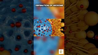 Definition of Niosomes  By Prof Ashish Baldi [upl. by Nivrek]