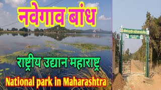 नवेगाव बांध राष्ट्रीय उद्यान महाराष्ट्र  Navegaon Bandh National Park Maharashtra [upl. by Eimrots]