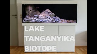 Tanganyika biotope style community tank [upl. by Hewart]