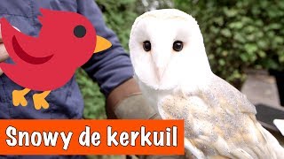 Allemaal verschillende vogels🐦  DierenpraatTV [upl. by Denie648]