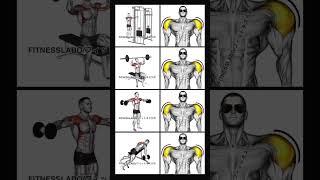 exercisetoshoulderworkoutshouldertraininggymfitnessmotivationbodybuildingviralshortsfyp [upl. by Laktasic]