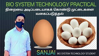 bst biosystem technology practical♦ BST நிறையை அடிப்படையாகக் கொண்டு முட்டைகளை வகைப்படுத்தல் [upl. by Etnauq]