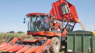 🇫🇷RÉCOLTE DE MAÏS SEMENCES Bourgoin B410 amp Bourgoin B610 2x Bourgoin dans le même champs 😱🤩 [upl. by Eisaj]