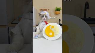 Puff’s in the kitchen blending food hacks with art 🐾 ThatLittlePuff [upl. by Shlomo]