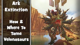 Ark  Extinction  How and Where to Tame Velonasaurs [upl. by Glassman831]