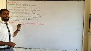 Reactions of alkynes  ch12  10th class chemistry [upl. by Akinohs]