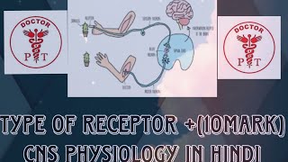 VIDEO  52 TYPES OF RECEPTOR  CNS SYSTEM  PHYSIOLOGY IN HINDI neuron nervoussystem nervous [upl. by Abe280]