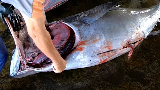 BigEye Tuna Perfect Cutting Skills [upl. by Ahsieket]