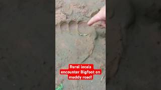 Rural Locals Encounter Bigfoot on Muddy Road  Squatch Watchers Shorts [upl. by Auhsohey]