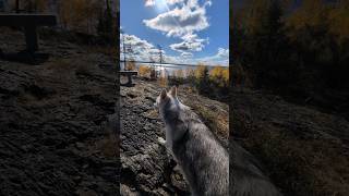 Look at this place whiteshell manitoba explore adventure wolf westhawklake ontario viral [upl. by Per]