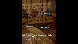 ١١ نوفمبر، ٢٠٢٤ [upl. by Anrak]