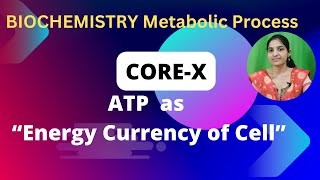 ATP as quotEnergy Currency Of Cellquot Bsc 2nd YearBiochemistry Of Metabolic ProcessesCore Xatp [upl. by Damicke]